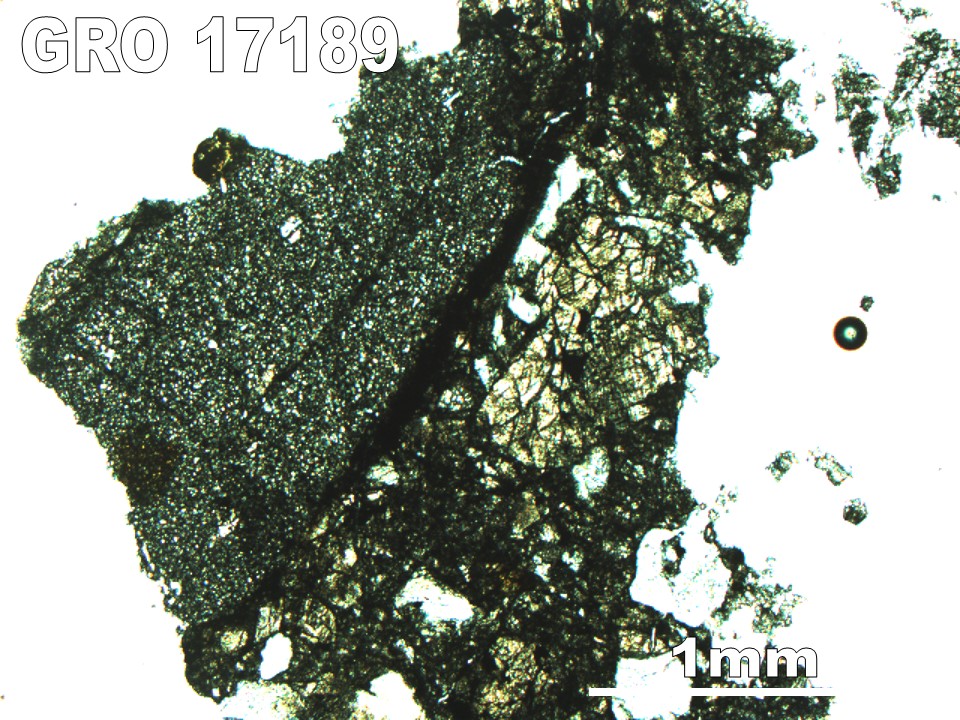 Thin Section Photo of Sample GRO 17189 in Plane-Polarized Light with 2.5X Magnification