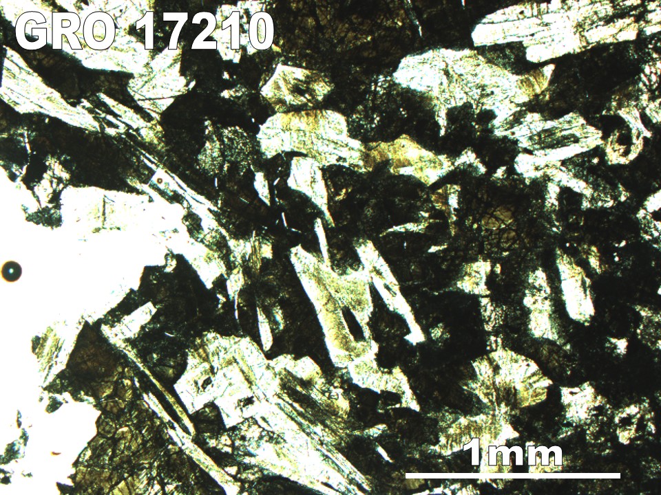 Thin Section Photo of Sample GRO 17210 in Plane-Polarized Light with 2.5X Magnification