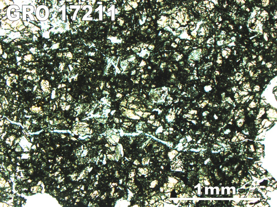 Thin Section Photo of Sample GRO 17211 in Plane-Polarized Light with 2.5X Magnification