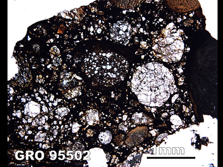 Thin Section Photograph of Sample GRO 95502 in Plane-Polarized Light