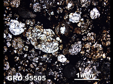 Thin Section Photograph of Sample GRO 95505 in Plane-Polarized Light