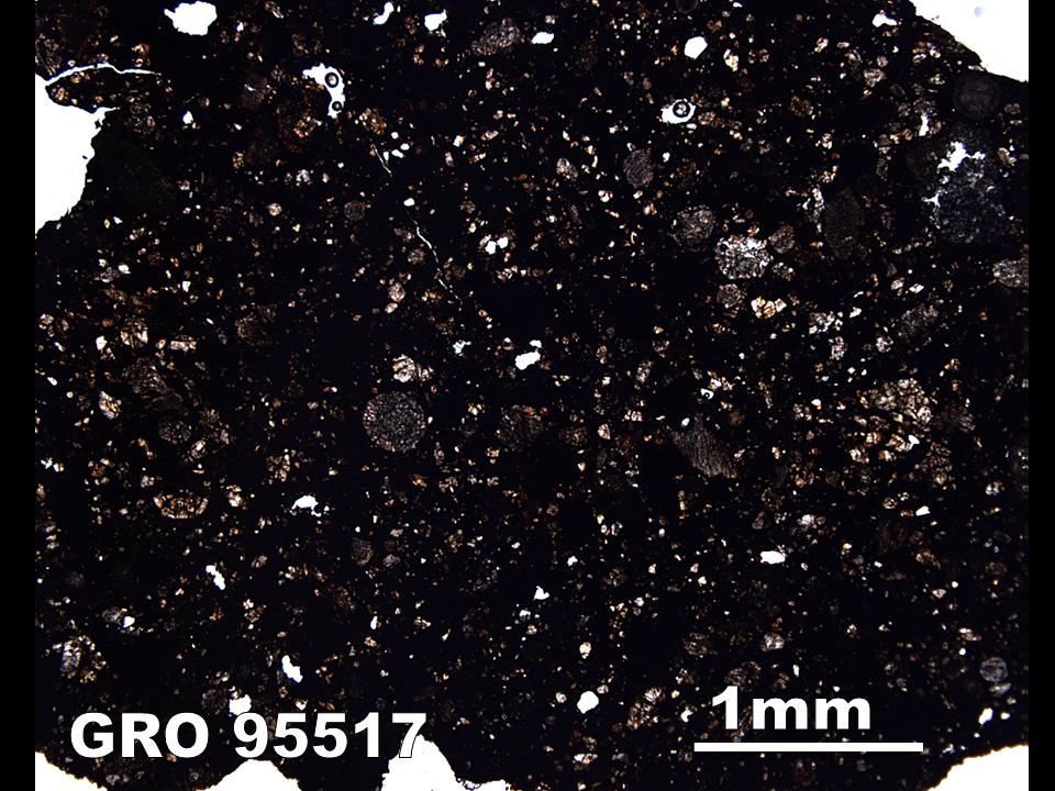 Thin Section Photo of Sample GRO 95517 in Plane-Polarized Light