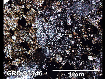 Thin Section Photograph of Sample GRO 95546 in Plane-Polarized Light