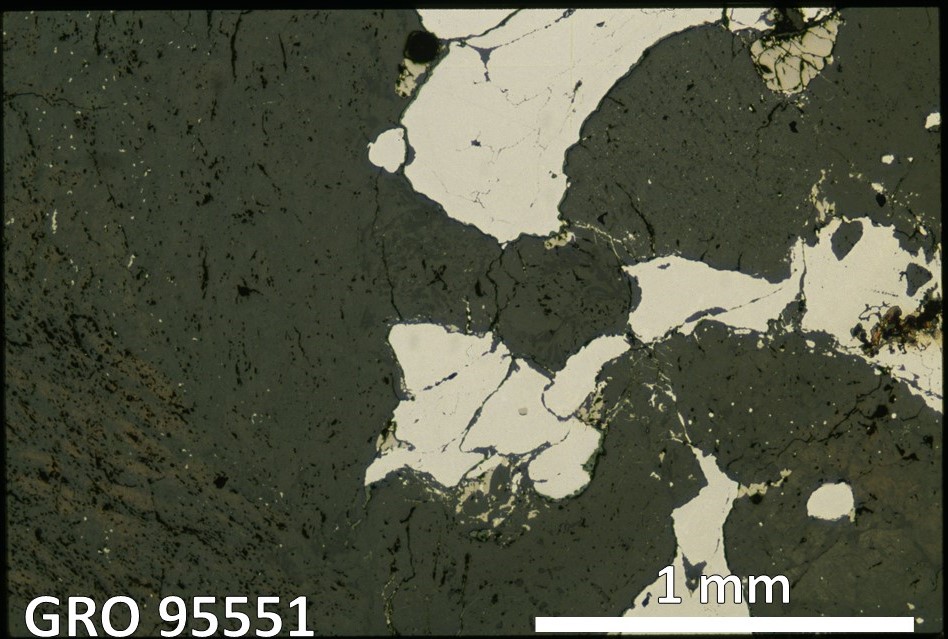 Thin Section Photo of Sample GRO 95551 in Reflected Light with 2.5X Magnification