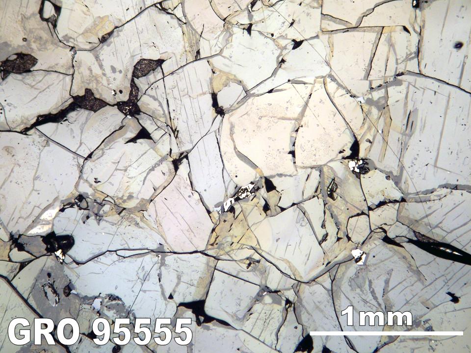 Thin Section Photograph of Sample GRO 95555 in Reflected Light
