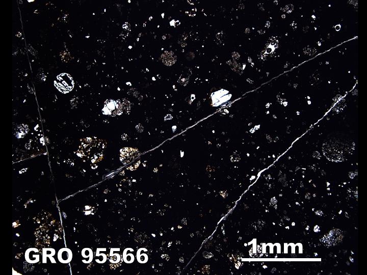 Thin Section Photo of Sample GRO 95566 in Plane-Polarized Light