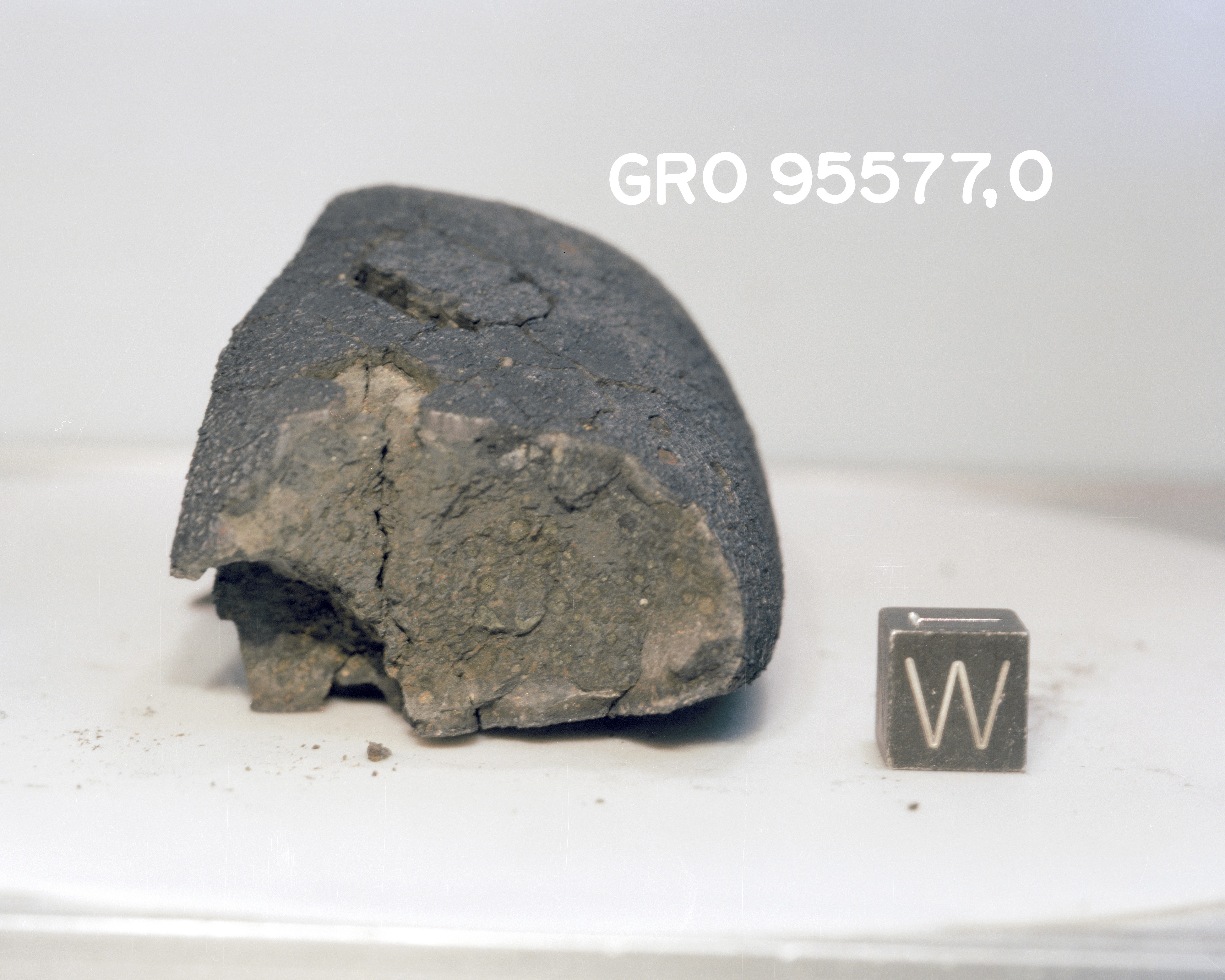 Lab Photo of Sample GRO 95577 (Photo Number S96-11507)
