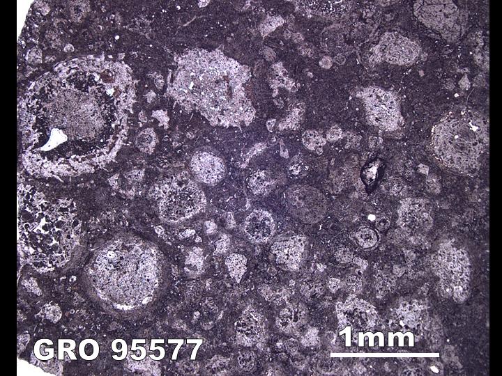 Thin Section Photo of Sample GRO 95577 in Reflected Light