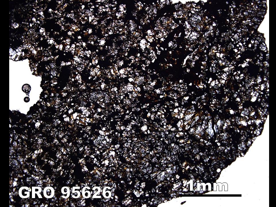 Thin Section Photo of Sample GRO 95626 in Plane-Polarized Light