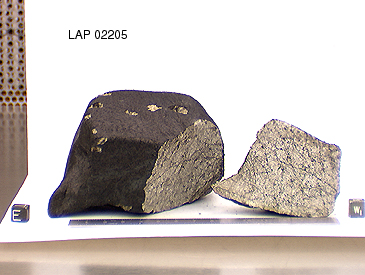 Lab Photograph of Sample LAP 02205