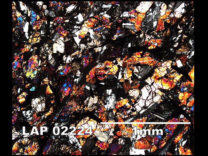 Thin Section Photograph of Sample LAP 02224 in Cross-Polarized Light