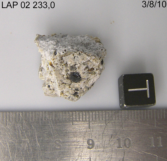 Lab Photo of Sample LAP 02233 Showing Top View