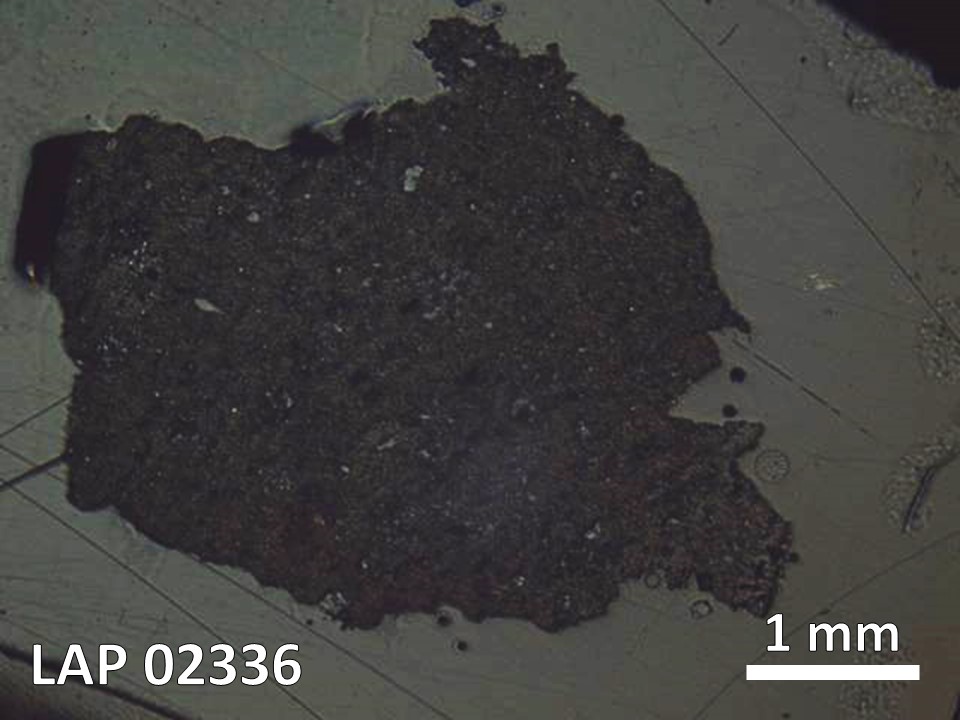 Thin Section Photo of Sample LAP 02336 in Reflected Light with  Magnification