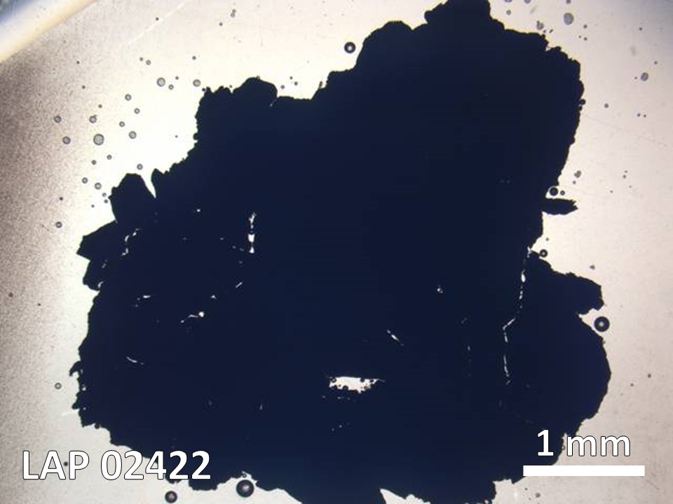 Thin Section Photo of Sample LAP 02422 in Plane-Polarized Light with  Magnification