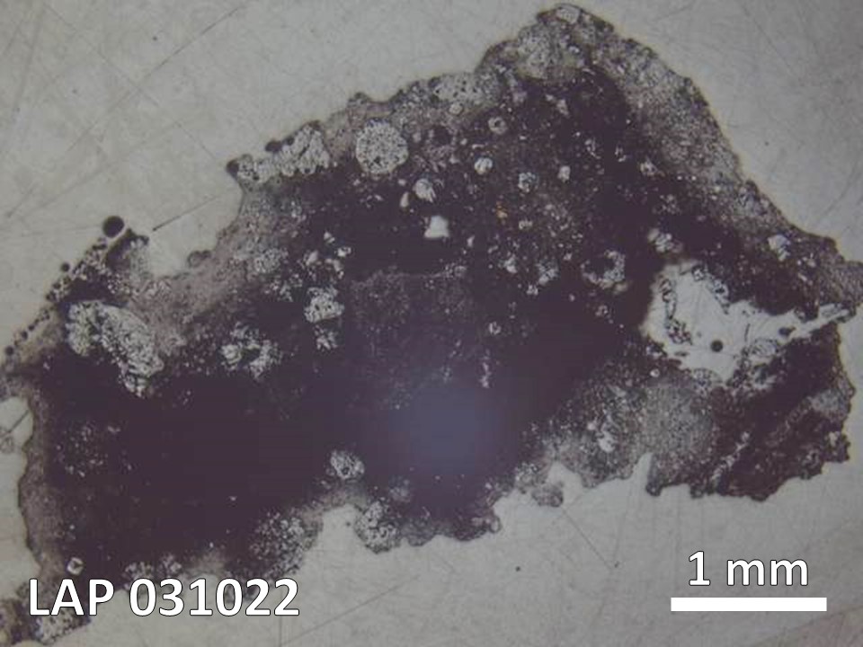 Thin Section Photo of Sample LAP 031022 in Reflected Light with  Magnification