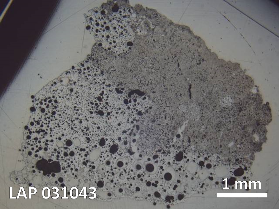 Thin Section Photo of Sample LAP 031043 in Reflected Light with  Magnification