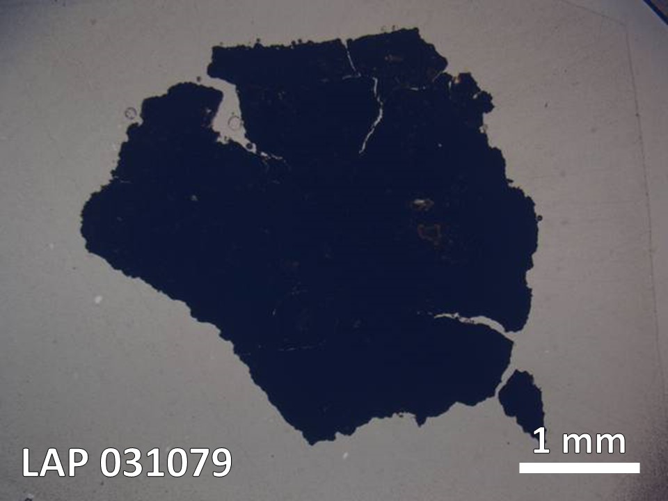 Thin Section Photo of Sample LAP 031079 in Plane-Polarized Light with  Magnification