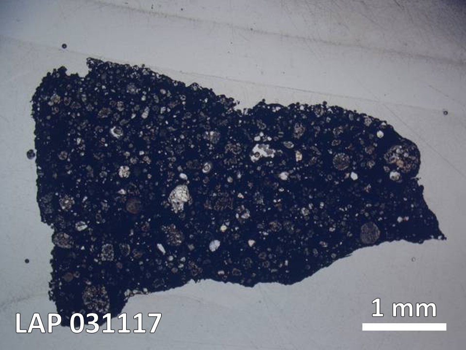 Thin Section Photo of Sample LAP 031117 in Plane-Polarized Light with  Magnification