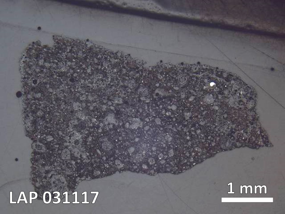 Thin Section Photo of Sample LAP 031117 in Reflected Light with  Magnification
