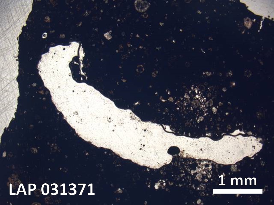 Thin Section Photo of Sample LAP 031371 in Plane-Polarized Light with  Magnification