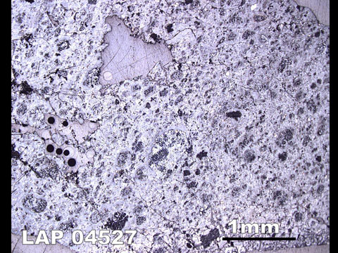 Thin Section Photo of Sample LAP 04527  in Reflected Light