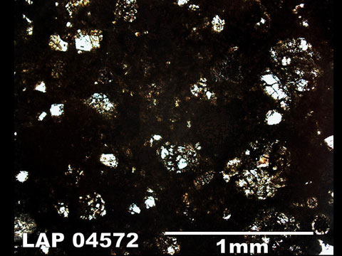 Thin Section Photo of Sample LAP 04572  in Plane-Polarized Light