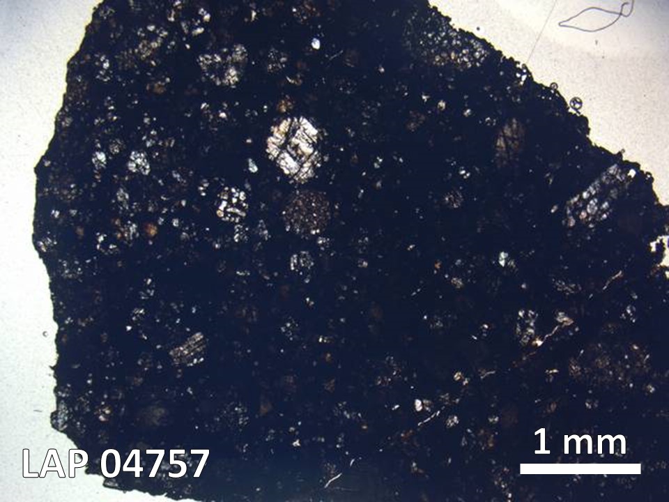 Thin Section Photo of Sample LAP 04757 in Plane-Polarized Light with 5X Magnification