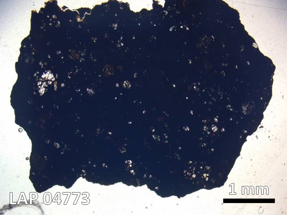 Thin Section Photo of Sample LAP 04773 in Plane-Polarized Light with  Magnification