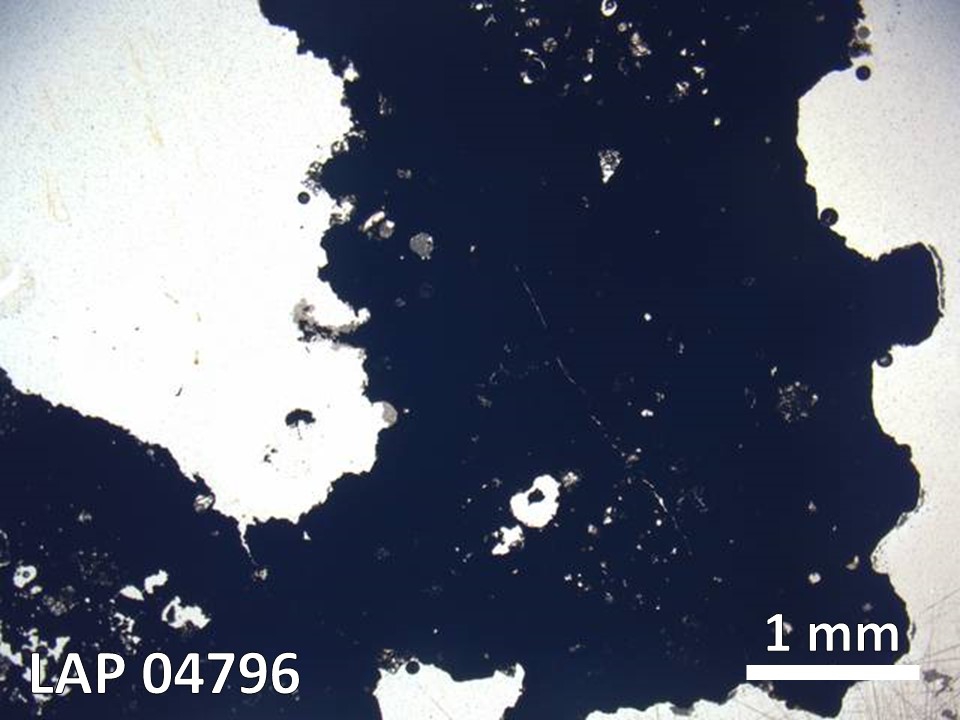Thin Section Photo of Sample LAP 04796 in Plane-Polarized Light with  Magnification