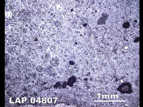 Thin Section Photo of Sample LAP 04807  in Reflected Light