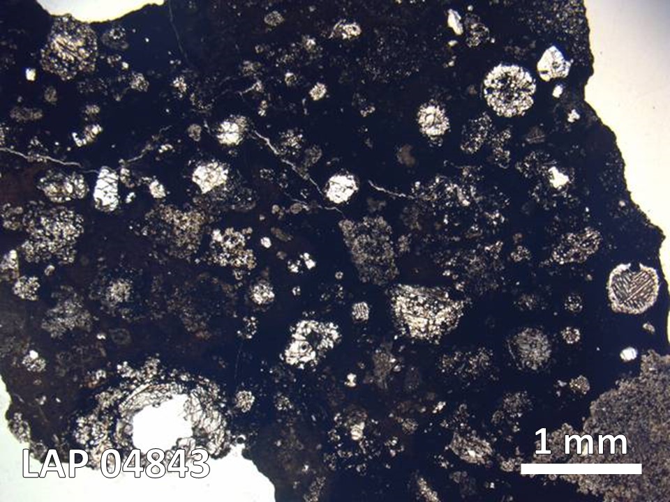 Thin Section Photo of Sample LAP 04843 in Plane-Polarized Light with  Magnification