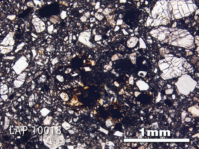 Thin Section Photograph of Sample LAP 10018 in Plane-Polarized Light