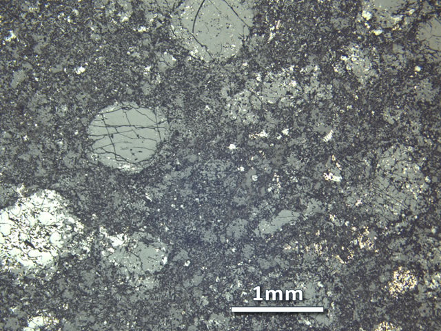 Thin Section Photo of Sample LAP 10030 at 2.5X Magnification in Reflected Light