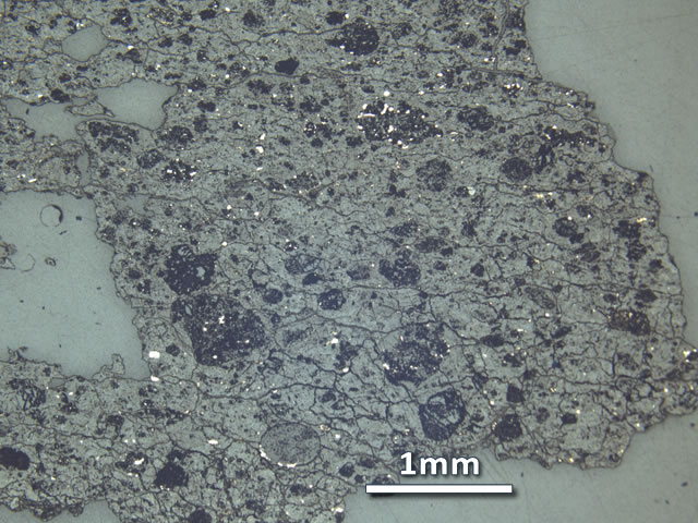Thin Section Photo of Sample LAP10032 at 2.5X Magnification in Reflected Light