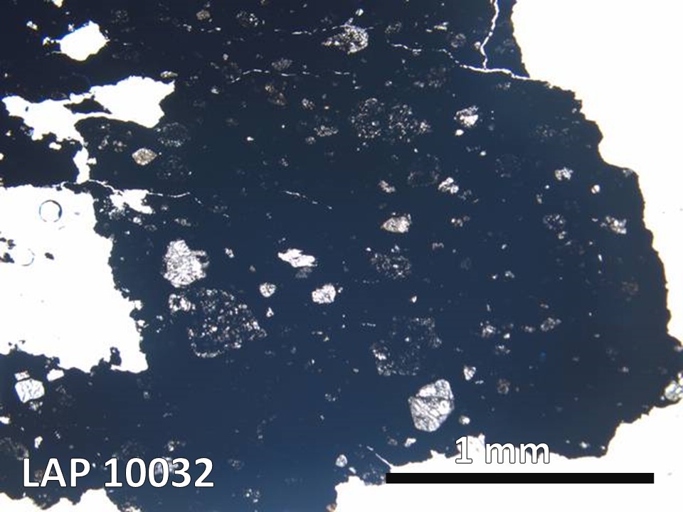 Thin Section Photo of Sample LAP 10032 in Plane-Polarized Light with  Magnification