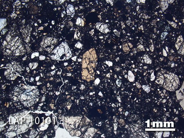 Thin Section Photograph of Sample LAP 10101 in Plane-Polarized Light