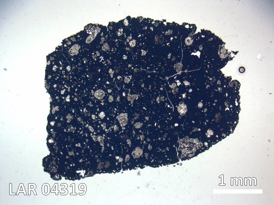 Thin Section Photo of Sample LAR 04319 in Plane-Polarized Light with  Magnification
