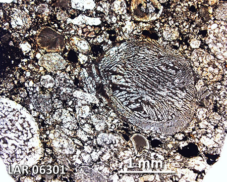 LAR 06301 Meteorite Thin Section Photo with 2.5x magnification in Plane-Polarized Light