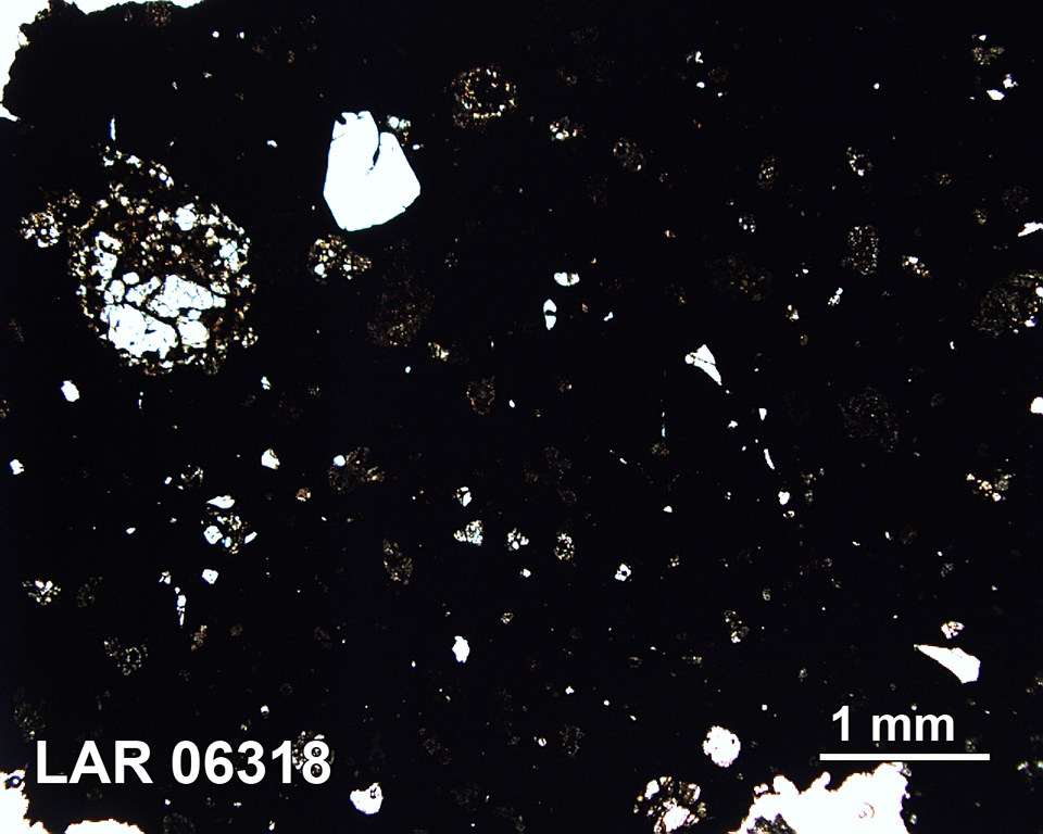 Thin Section Photograph of Sample LAR 06318 in Plane-Polarized Light