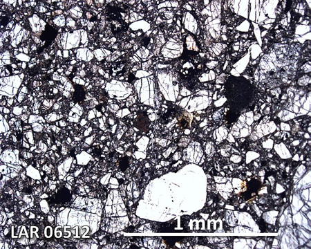 LAR 06512 Meteorite Thin Section Photo with 5x magnification in Plane-Polarized Light