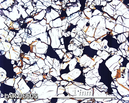 LAR 06605 Meteorite Thin Section Photo with 5x magnification in Plane-Polarized Light
