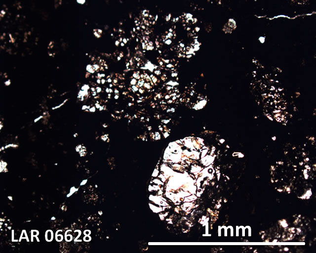 Thin Section Photograph of Sample LAR 06628 in Plane-Polarized Light