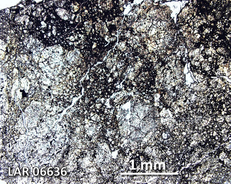 LAR 06636 Meteorite Thin Section Photo with 2.5x magnification in Plane-Polarized Light