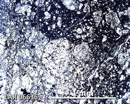 LAR 06636 Meteorite Thin Section Photo with 5x magnification in Plane-Polarized Light