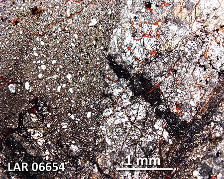 LAR 06654 Meteorite Thin Section Photo with 2.5x magnification in Plane-Polarized Light