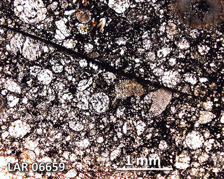 LAR 06659 Meteorite Thin Section Photo with 2.5x magnification in Plane-Polarized Light