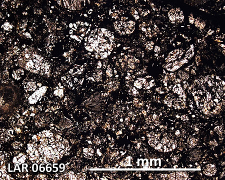 LAR 06659 Meteorite Thin Section Photo with 5x magnification in Plane-Polarized Light