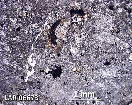 LAR 06673 Meteorite Thin Section Photo with 2.5x magnification in Plane-Polarized Light