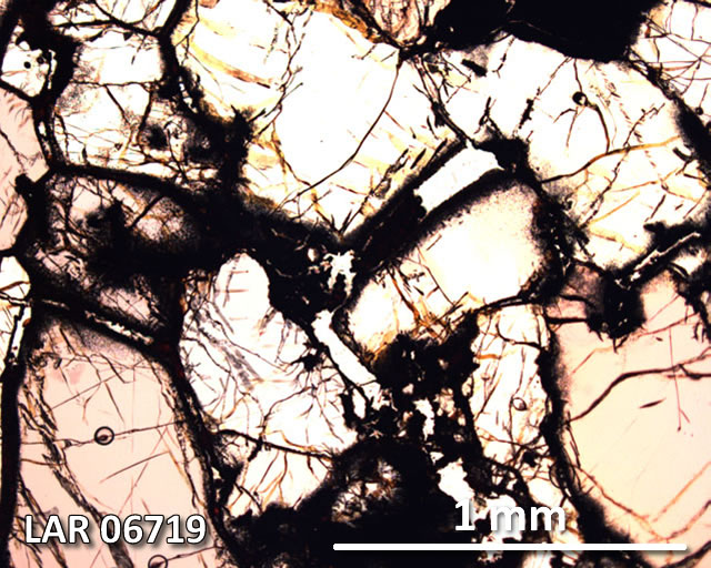 Thin Section Photograph of Sample LAR 06719 in Plane-Polarized Light