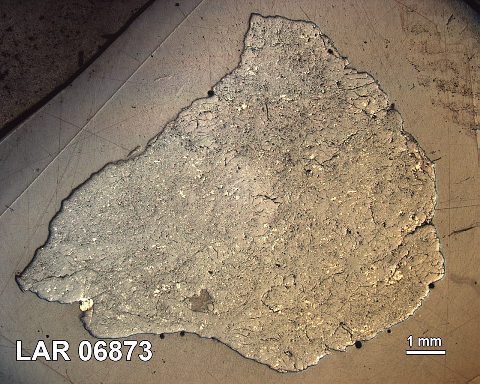 Thin Section Photograph of Sample LAR 06873 in Reflected Light